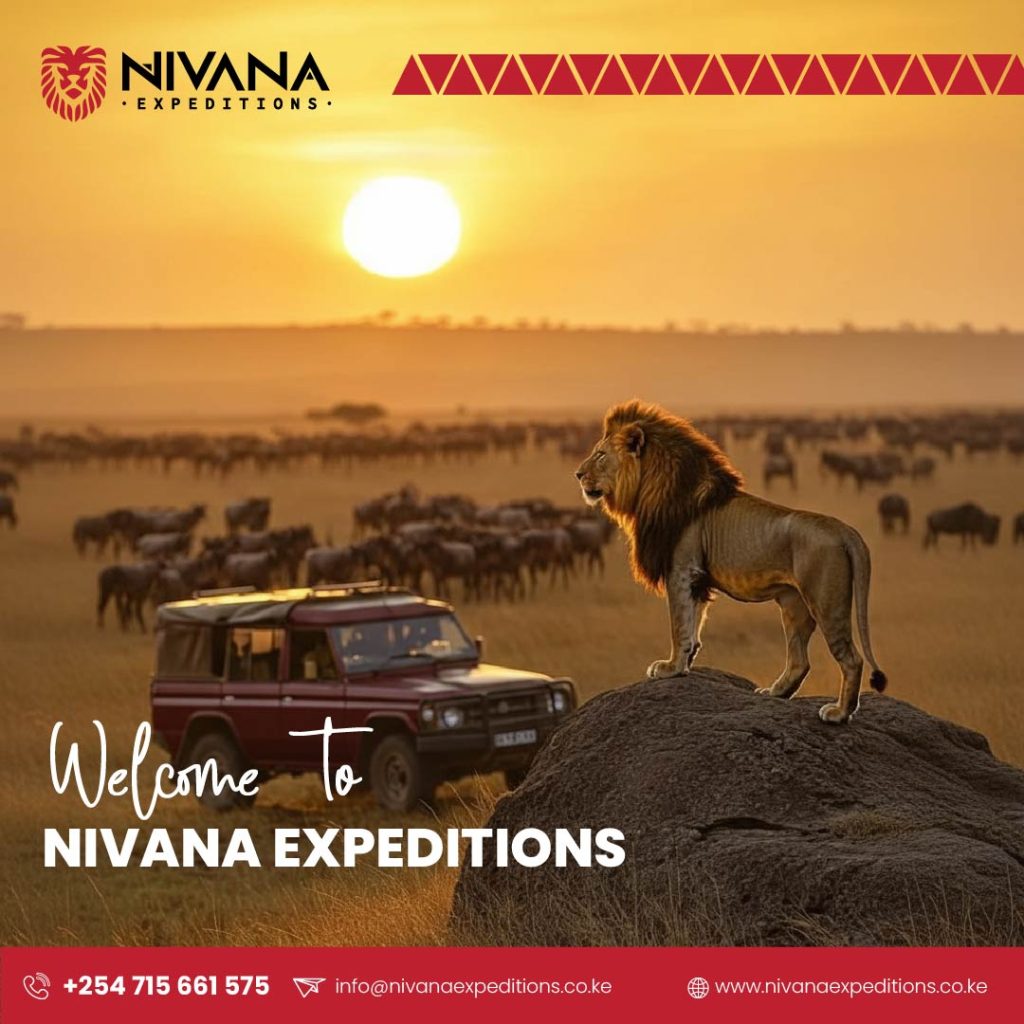 Nivana Expeditions social media post