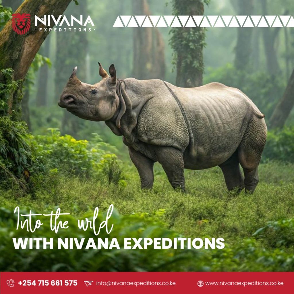 Nivana Expeditions social media post