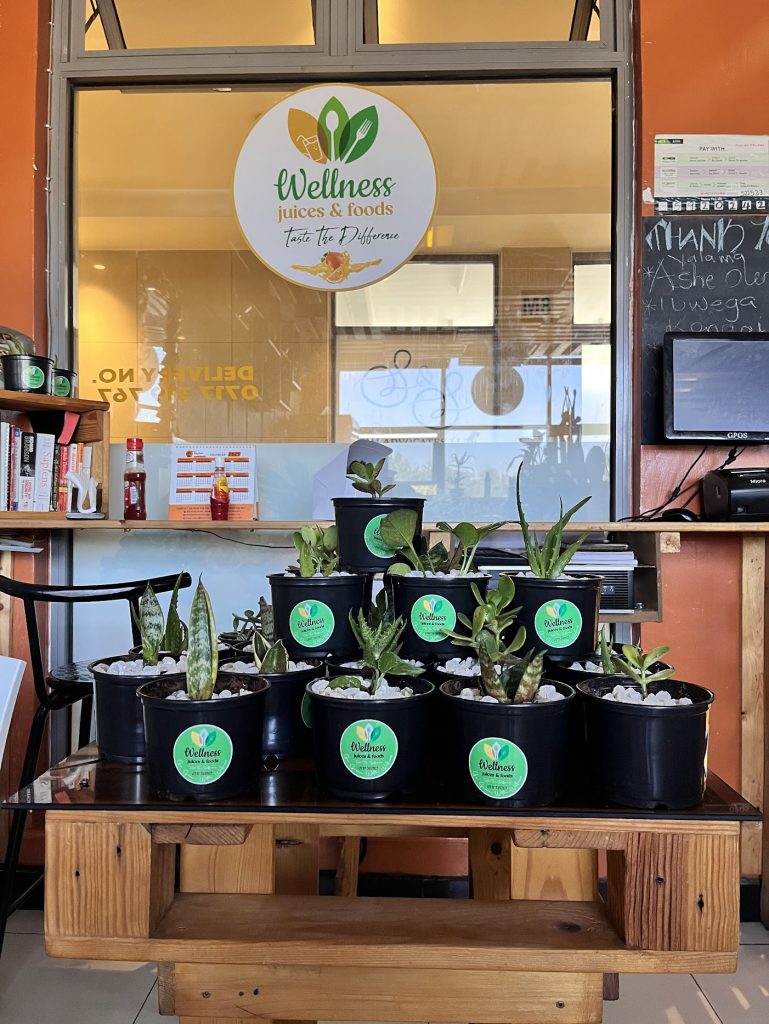 Welness Juices & Foods office branding